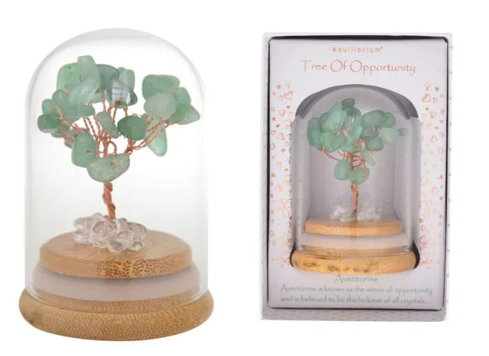 Eqlb Tree Of Opportunity