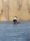Sticky Image