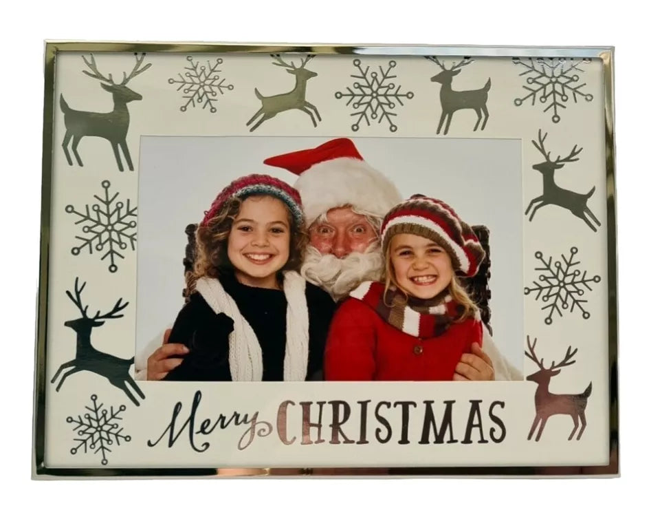 Silver Metal 4 x 6 Photo Frame