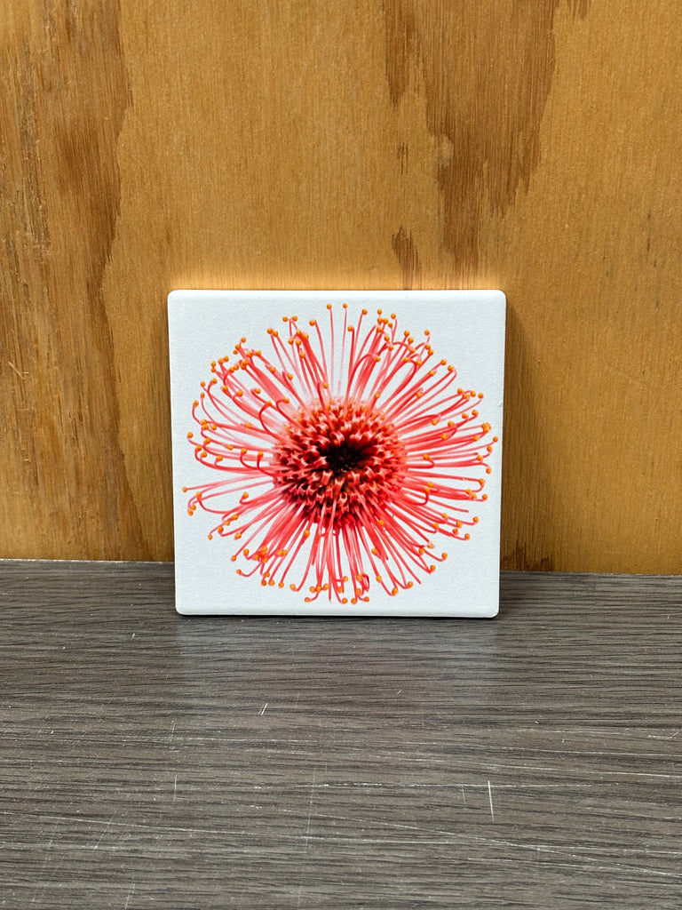 Ceramic Coasters - Single