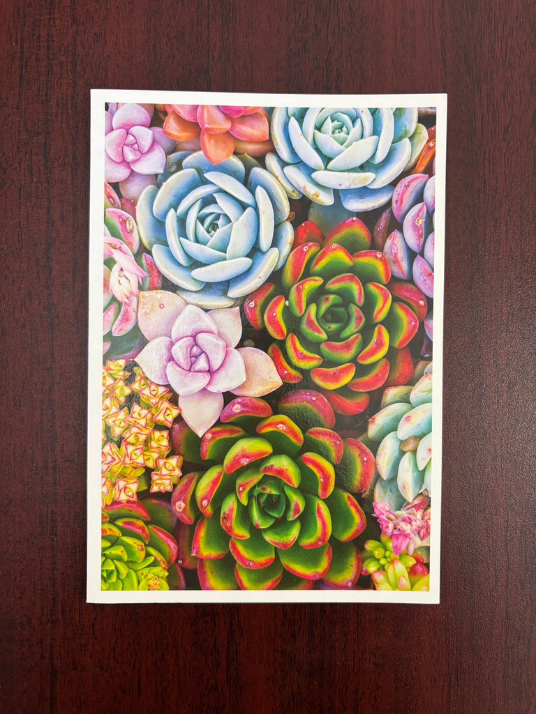 Through The Lens Cards