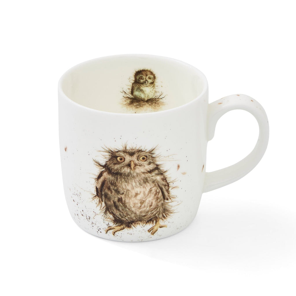 Royal Worcester Wrendale Designs - 0.31L/11Fl.oz Owl Mug What a Hoot